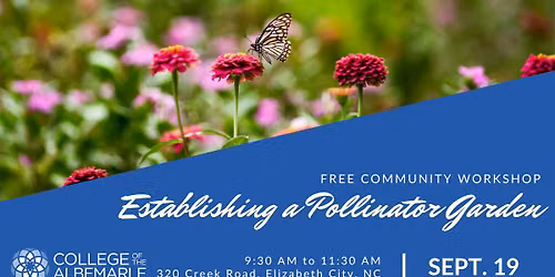 Establishing a Pollinator Garden