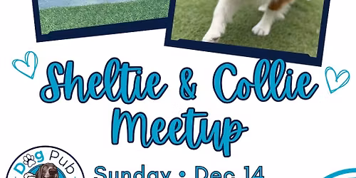Shelties & Collies Meetup