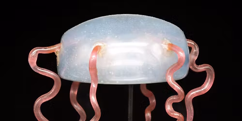 December Exclusive Insights & Expert Perspectives \u2013 Curator-Led Tours of GLASS