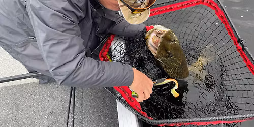 BigPike Fight 2026 by Eholotes shop