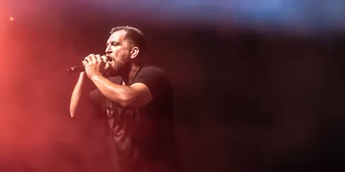 Anser in \u0391\u03b8\u03ae\u03bd\u03b1