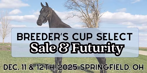 Breeder's Cup Select Sale & Futurity