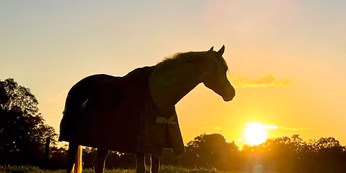 MASSIVE Equestrian Garage Sale
