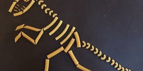 Dinosaur Skeletons