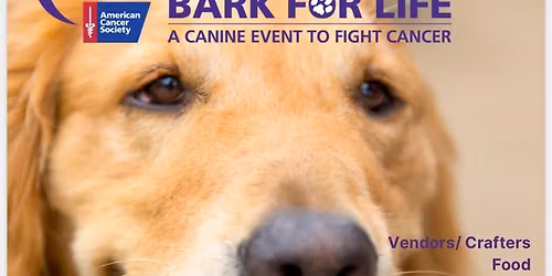Bark For Life of Greater Pocono Area