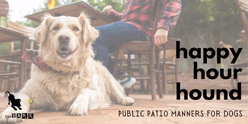 Happy Hour Hounds - Public Patio Manners for Dogs