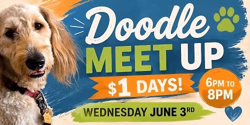 Doodle Meet Up $1