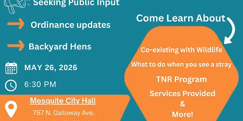 Town Hall Tuesday: Animal Services