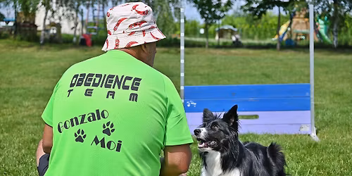 Warsztaty Obedience z Gonzalem Figuer\u0105