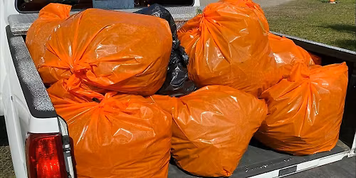 Invasive Plant Removal: W**d Wrangle at American Beach