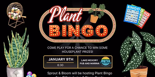 Plant Bingo w\/ Sprout and Bloom