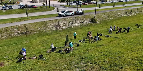 Haverhill Park Tree Planting