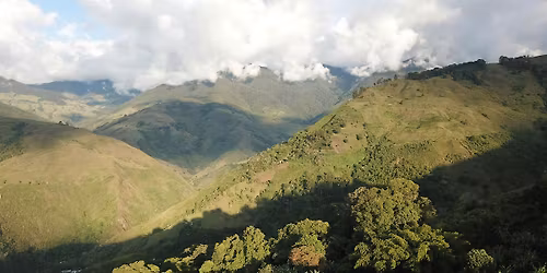 ADL \u2022 Curated Cupping: Cultivars of Colombia