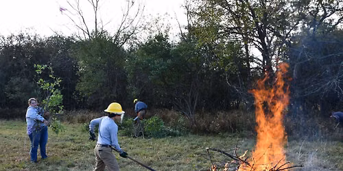 Volunteer Morning: Hickory Creek Preserve \u2014 Hickory Creek Junction