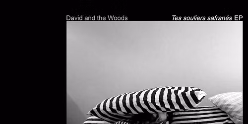 Lancement du EP "Tes souliers safran\u00e9s", de David and the Woods