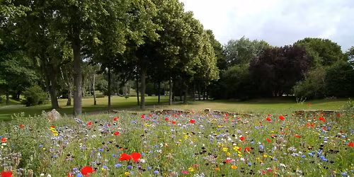 FREE Children\u2019s Crafting