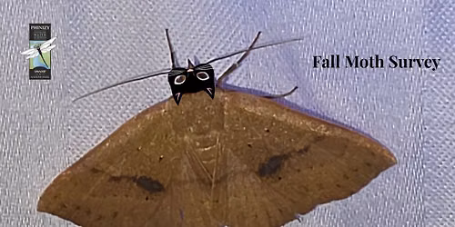 Fall Moth Survey