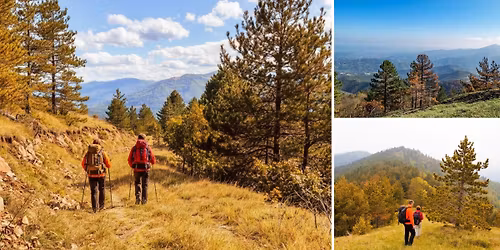 Planina Troglav \u2013 uspon na Kom 1.178 m | Tri vrha, tri pogleda
