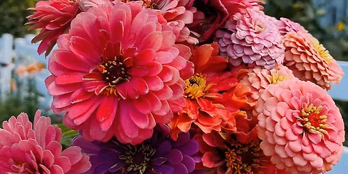 5th Grade Flower Walk