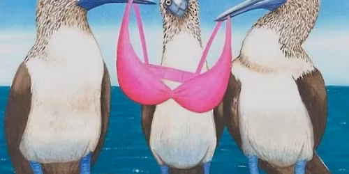 Booby Birds-Cancer Support   