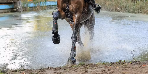 Molecaten Ruiterdag 2026