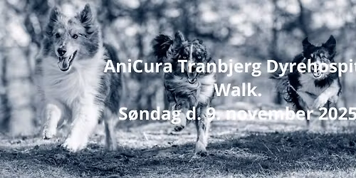 AniCura Tranbjerg Dyrehospital Walk, efter\u00e5r 2025