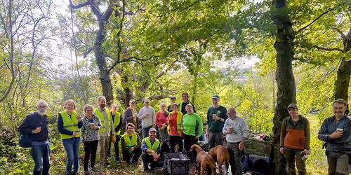 Volunteer morning - clearing brambles so young trees can thrive