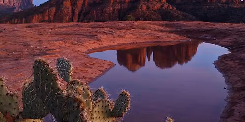 Dreaming Power with Perceiver in Sedona