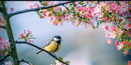 Kev\u00e4tkonsertti!