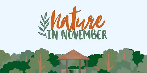 Nature in November - Free Admission