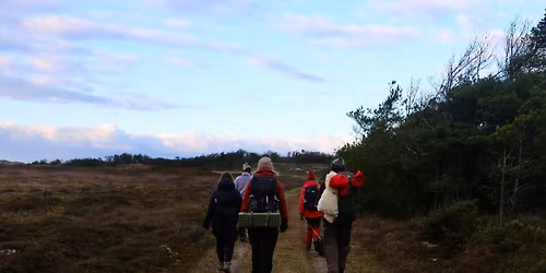 Efterårs Eventhy i Stenbjerg plantage