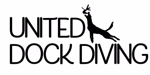 406 Dock Diving UDD Disco at the Dock