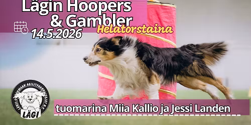 L\u00e4gin hoopers & gambler helatorstaina 2026