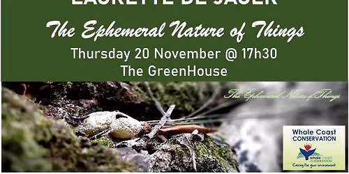 The Ephemeral Nature of Things