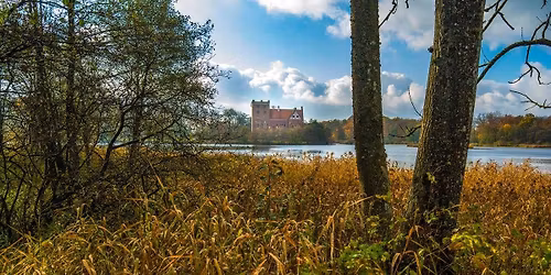 Lions v\u00e5rloppis