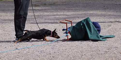 SKPIN Luonnetestiviikonloppu 