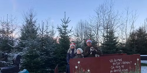 JULEHYGGE HOS BUTIK LYKKEBO 🌲🐶🔥🍡