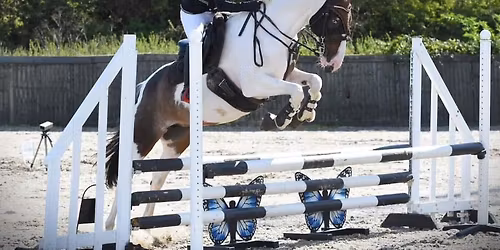 Unaffiliated Showjumping And Dressage