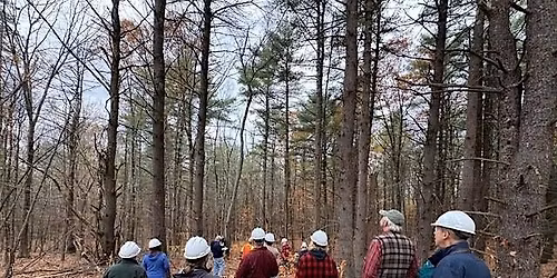 Nobody Gets Left in the Woods: A Safety Network for Forest Workers