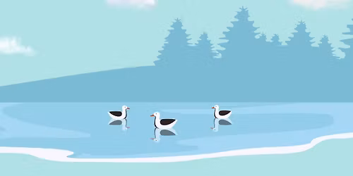 Birding Walks with Master Naturalist Lily Glaeser