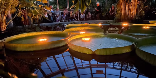 Tropisk afton med Victoria