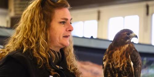 All in the Family with Mountsberg Raptor Centre in Toronto's High Park