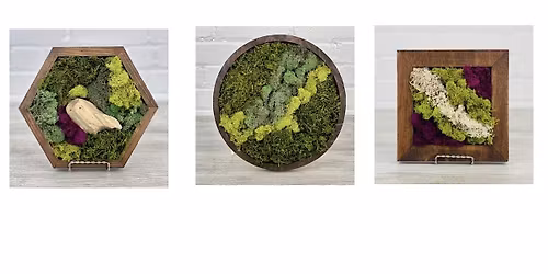 Preserved Moss Wall Art Class