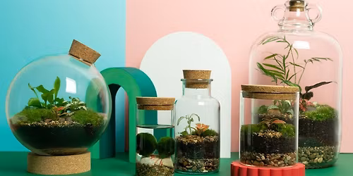 Terrarium Workshop