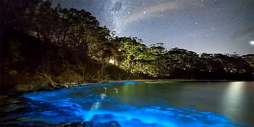 Bio-luminescence Kayaking Tour & Meteor Shower
