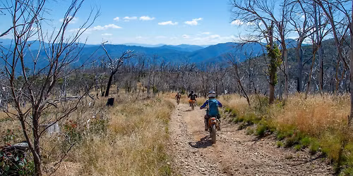 5 Day High Country Adventure 