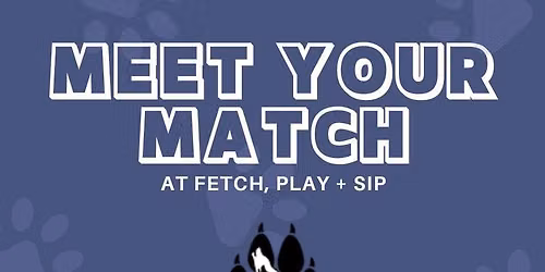 Meet Your Match: Our Pack Animal Rescue