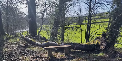 Judith's Wood volunteer day
