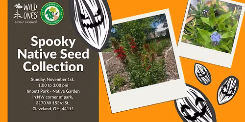 Spooky Native Seed Collection w\/ Friends of Impett Park (Cuyahoga County)