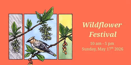 2026 Wildflower Festival